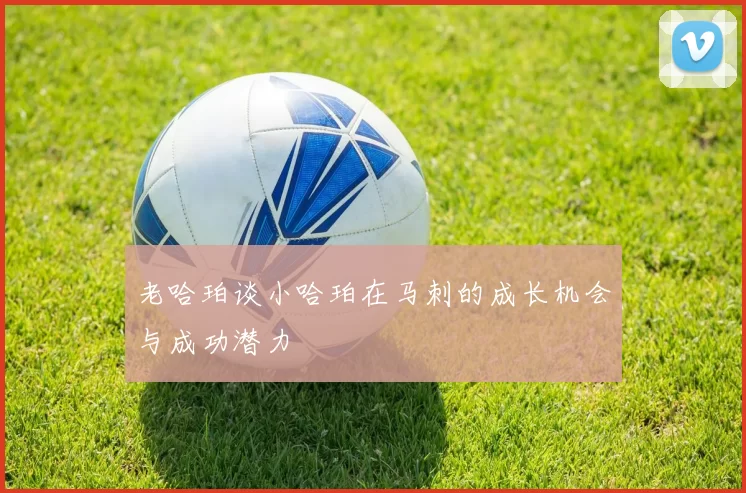 老哈珀谈小哈珀在马刺的成长机会与成功潜力